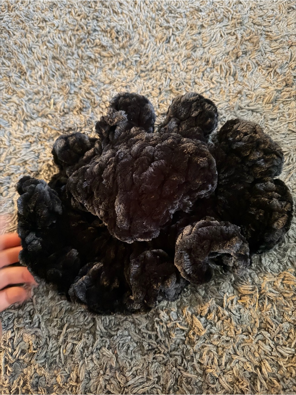 Velvet Flower Dog Hat